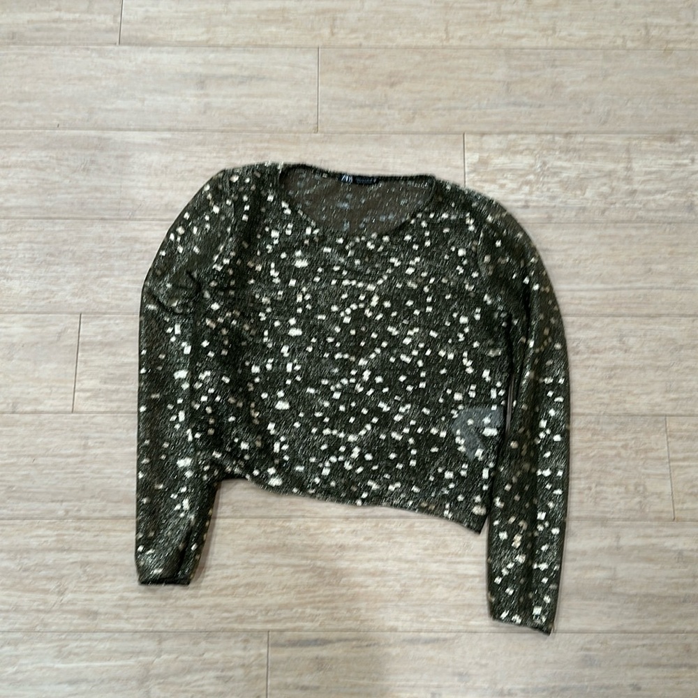Zara sheer shirt